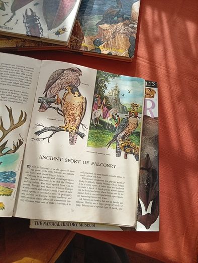 Nature Books