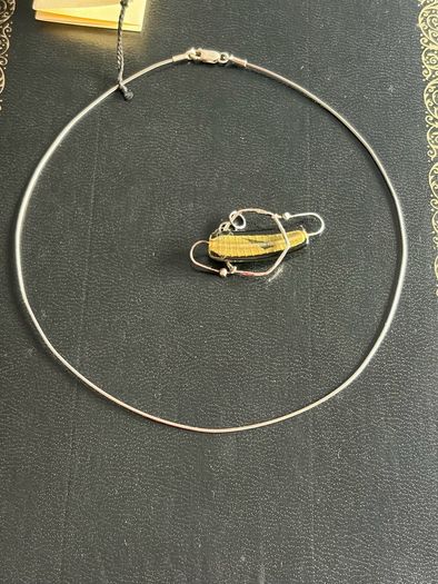 silver necklace
