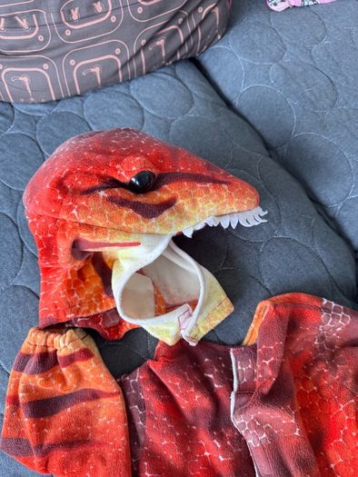 dinosaur costume