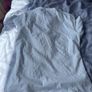 Brand new Tommy Hilfiger white slim fit  tshirt black logo Image 5