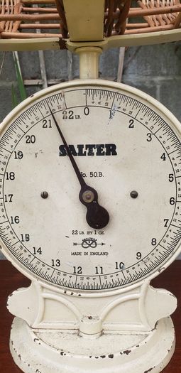 Vintage salters scales