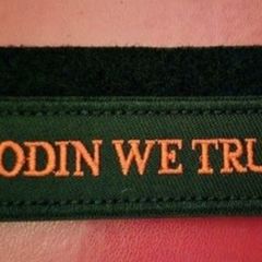 Norse/ viking, " in odin we trust"