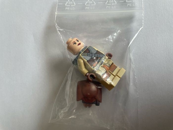 lego Boushh Item No: sw0407