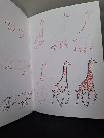 SALE! Set of 4 DRAW 50 drawing books: Dinosaurs, Flowers, Animals and Endangered Animals