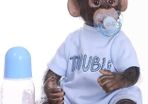 Handmade Detailed Paint Reborn Baby Monkey Newborn Dolls Collectible Art Dolls (FREE POSTAGE)