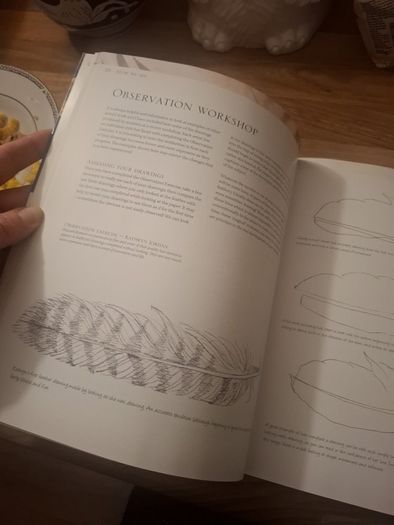 The magic of drawing