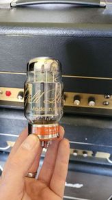 Gold Lion KT88 pair