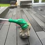 Qualcast Electric Grass Strimmer Image 6