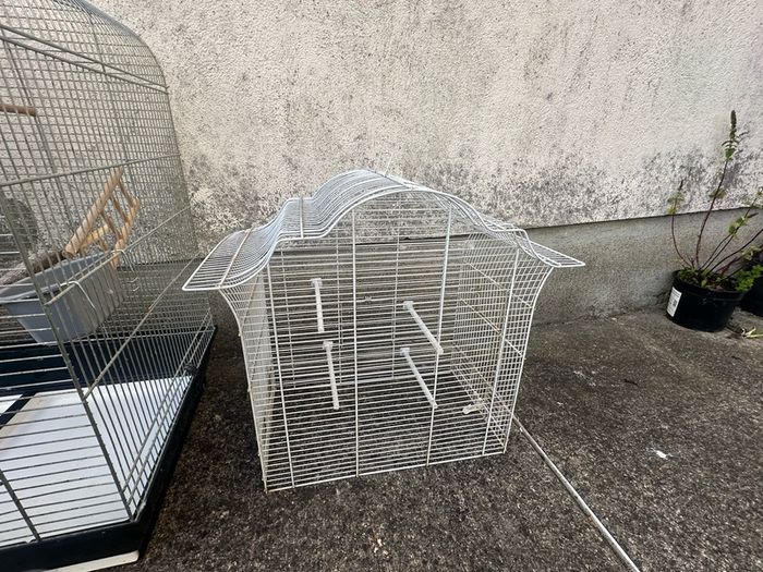 Bird Cages