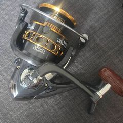 Fishing reel