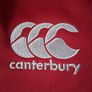 British and Irish Lions Jersey.  Official Canterbury Home Jersey Youths Age 14 Years. Collect In Dublin Or Receive Via Post. Image 3
