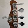 Red Sire P5 5 String Image 3