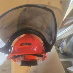 Oregon Forestry Helmet with Ear Defenders & Visor