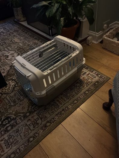 cat carrier