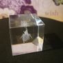 Small Glass Virgo Paperweight Image 5