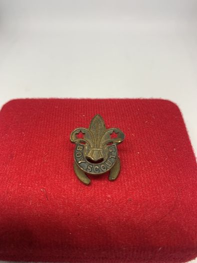 Boy Scout Pin Badge