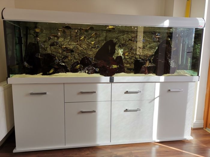 Aquarium, Fish tank, 720L Diversa