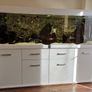 Aquarium, Fish tank, 720L Diversa Image 2