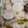My Big Book of Adventures - Miles Kelly Image 3