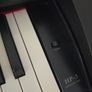 Suzuki Digital Piano Image 5