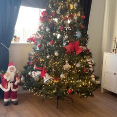 7ft Nebraska tree