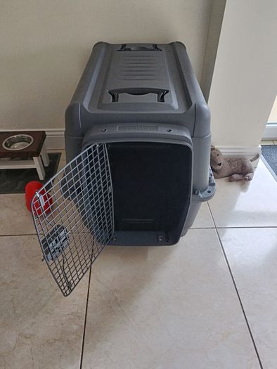 Large dog Transport Box