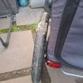 Trixie dog bike trailer/buggy Image 4