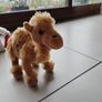 teddy Image 2
