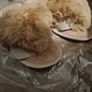 PLT fur slipper bnwt Image 3