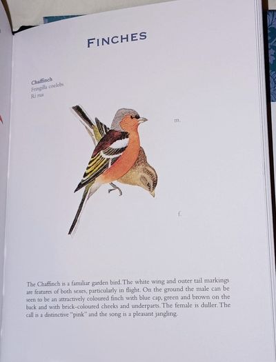 Ireland's Flora and Fauna Appletree Deluxe Editions Trees and Shrubs Wild Flowers Birds a beautiful collection of three books with lovely illustrations in excellent condition with no issues FREE STANDARD POSTAGE INCLUDED