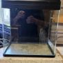 fish tank Image 3