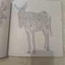 Animal Kingdom Adult Colouring Book NEW Image 3