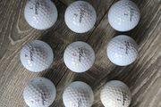 Titleist pro v 1 golf balls