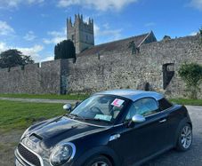 2011 Mini Mini