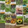 Plant Seeds Free to Share Image 2