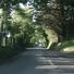 StockingLane