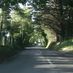 StockingLane