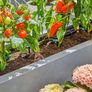 Micro-Drip-System Drip Irrigation Set Terrace (30 plants): Starter set, ready to use, water-saving irrigation system, simple & flexible connection technology (13400-20) Image 2
