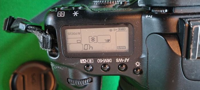 Canon EOS 30D digital SLR camera 70-300 zoom lens