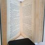 For the Old Land: A Tale of Twenty Years Ago by Charles J. Kickham (CP121) Image 4