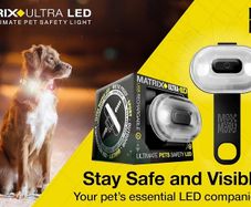 Matrix LED light for dogs