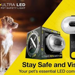 Matrix LED light for dogs