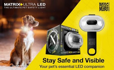 Matrix LED light for dogs