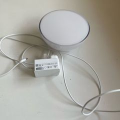 Philips Hue Go lamp
