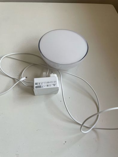 Philips Hue Go lamp