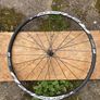 DT Swiss R24 db Spline Image 3