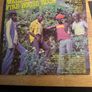 Wailing Souls Fire House Rock - Vinyl album Image 2