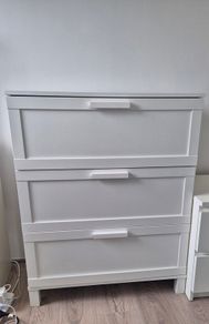 chest