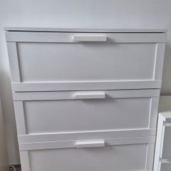 chest