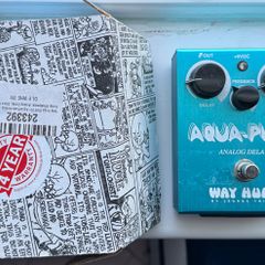 Way Huge Aqua Puss MKII Delay